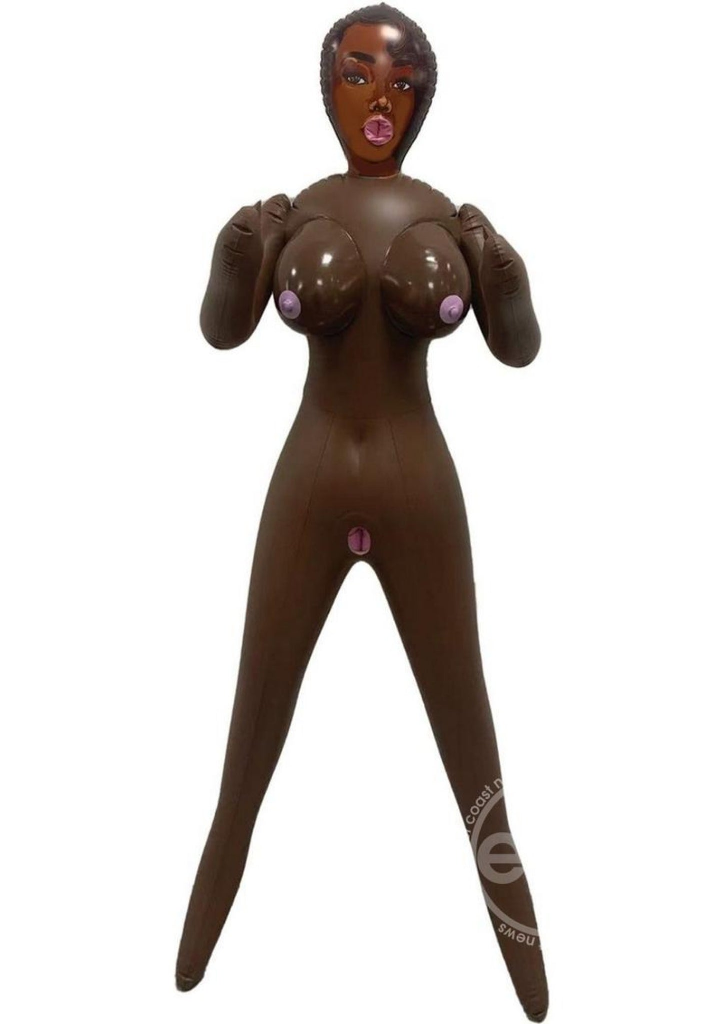 Delicious Destiny Inflatable Doll - Chocolate