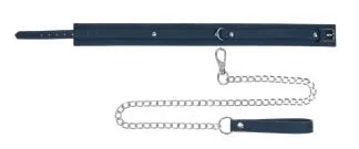 Signature Twilight Tease Collar & Leash Blue