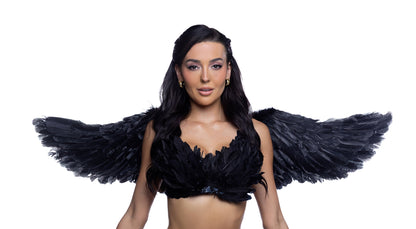 Costume Wings