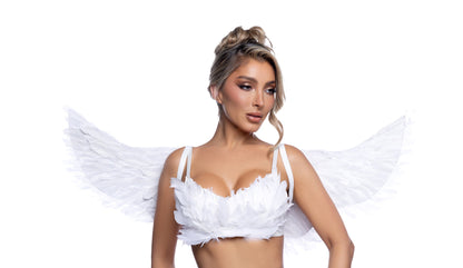 Costume Wings