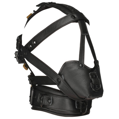 Leather Head Harness with Muzzle
