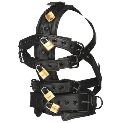Leather Head Harness with Muzzle