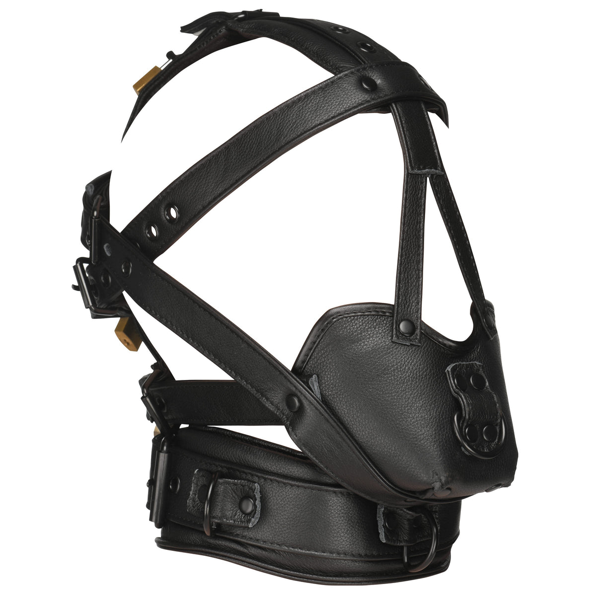 Lockable Head Harness with Muzzle