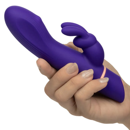 Love Bunny Rollin' "G" Bunny Purple