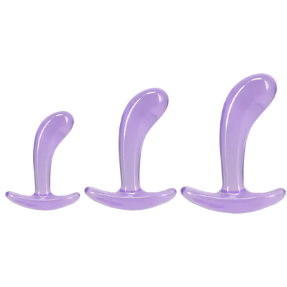 Crystal Jellies - Curved Anal Trainer Set Purple